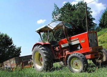 Kmetijski oglasnik ponuja vse od sadik do rabljenih traktorjev