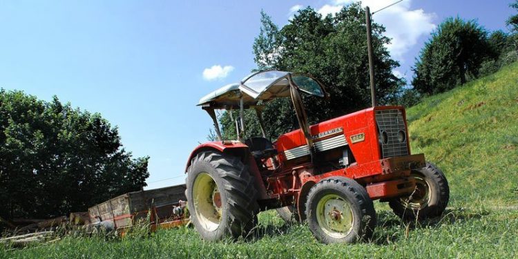 Kmetijski oglasnik ponuja vse od sadik do rabljenih traktorjev