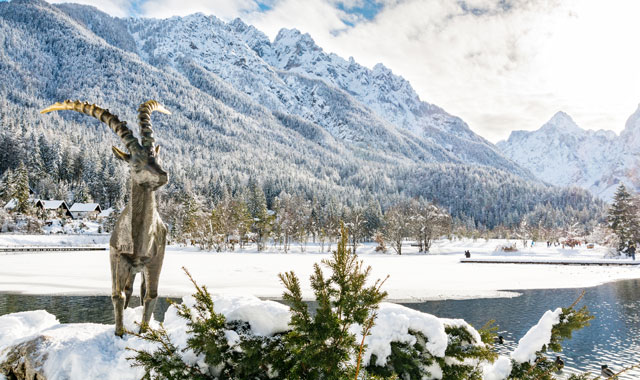 Kranjska Gora Kranjska Gora